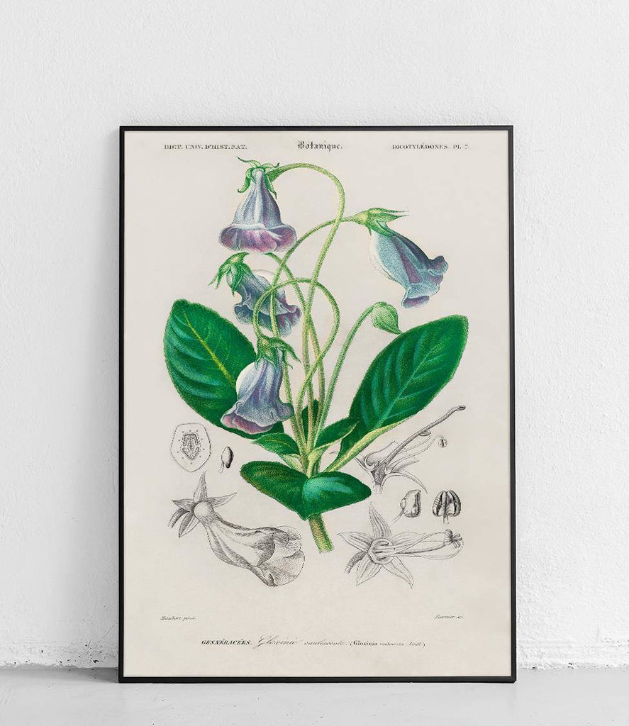 Garden Syningia - poster