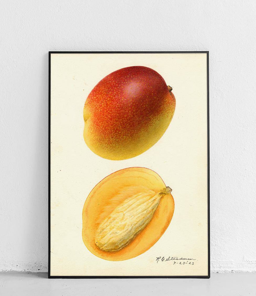 Mango 2 - poster