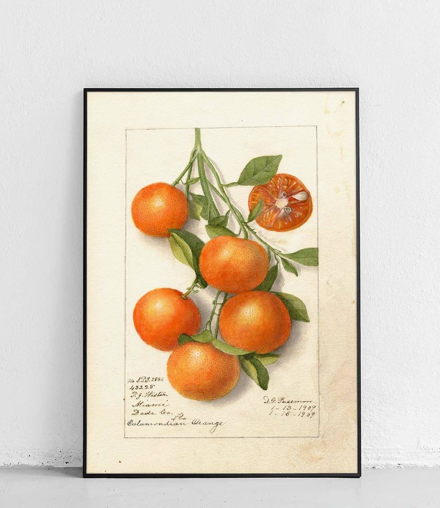 Tangerine - poster