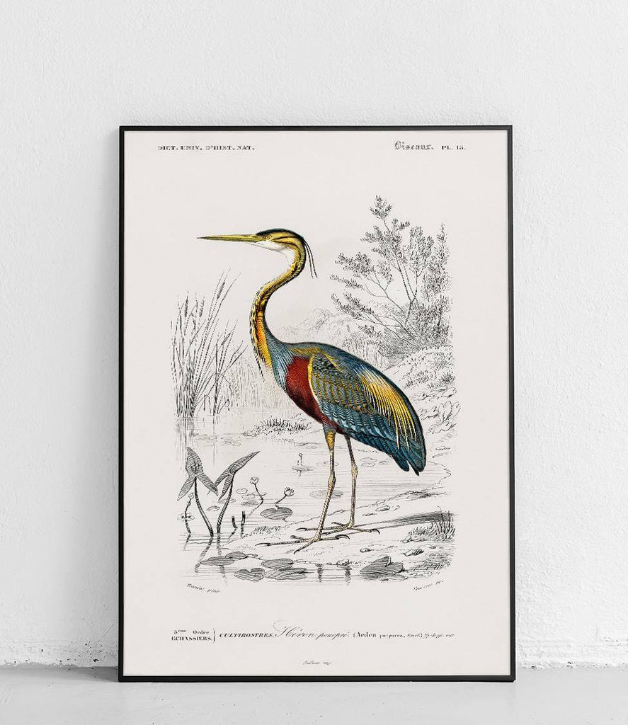 Purple Heron - poster