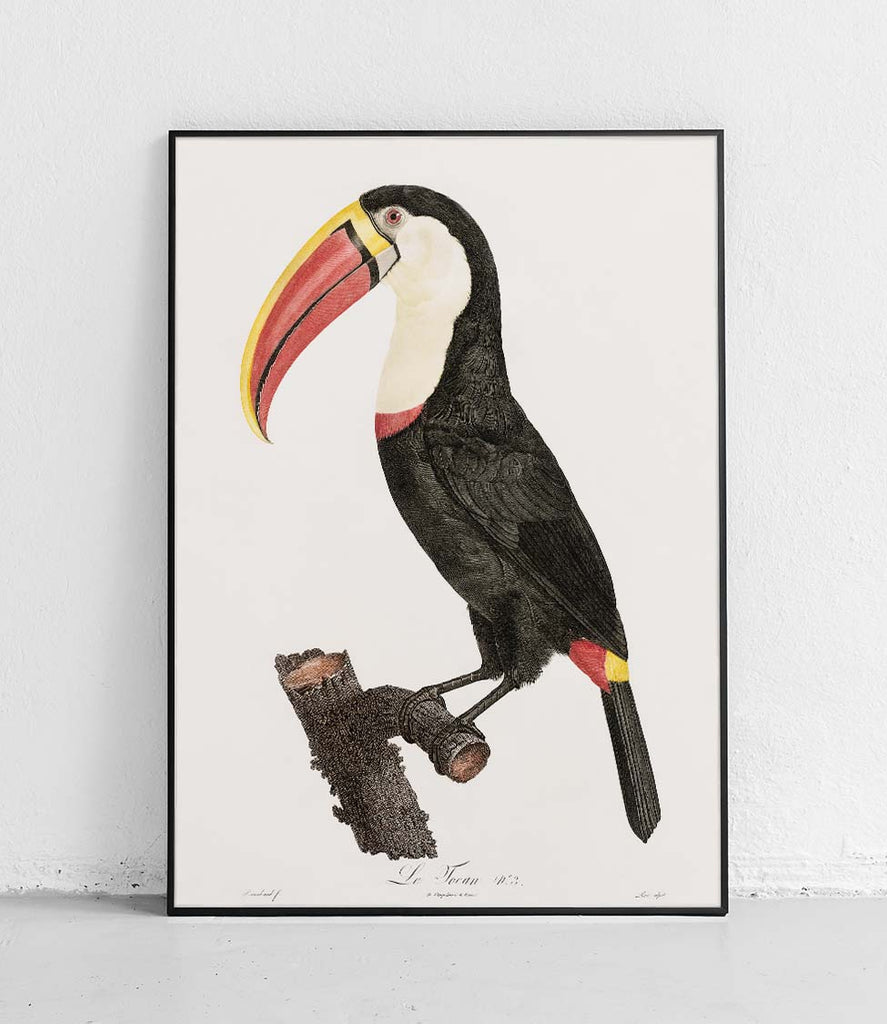 Great Toucan  2 - poster